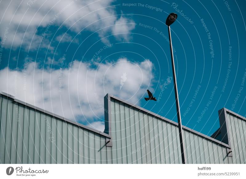 Step facade with street lamp and dove against blue sky with clouds Pigeon Modern architecture Exterior Building Architecture Facade Esthetic urban