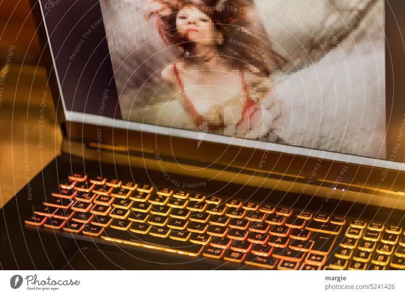 Notebook, laptop with sexy woman on monitor Internet connection Computer Equipment Screen Online Technology erotic woman sensual Alluring Femininity Eroticism