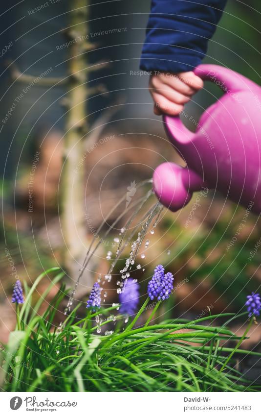 Child watering the flowers with his watering can in the garden Garden Cast Watering can Cute Diligent Gardener Gardening soak Nature Spring Flower Plant