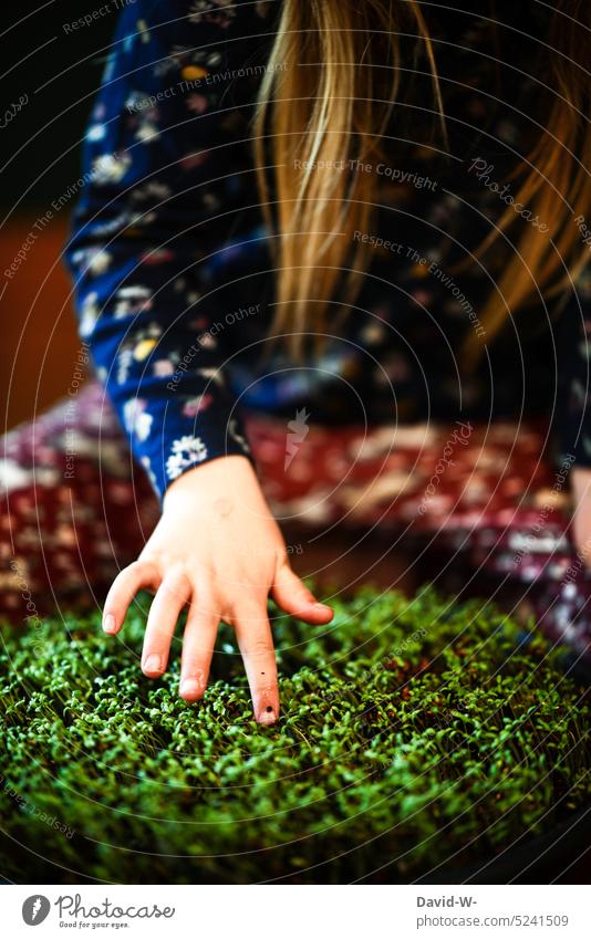 Child and plants - growth - admire cress planted by yourself Nature Touch Cress Hand explore Environment Growth Girl inquisitive Green cautious wax