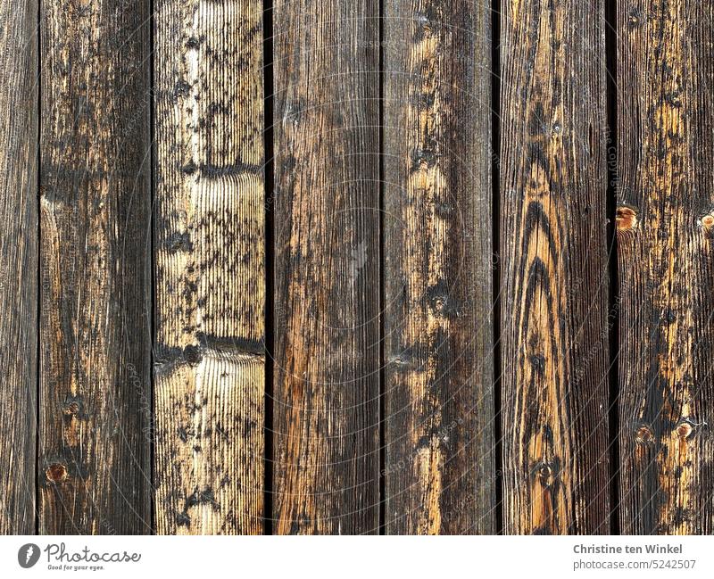 Close up of old weathered barn door Wood Wooden wall Barn door old wooden door Old Weathered Detail Structures and shapes Background picture wooden background
