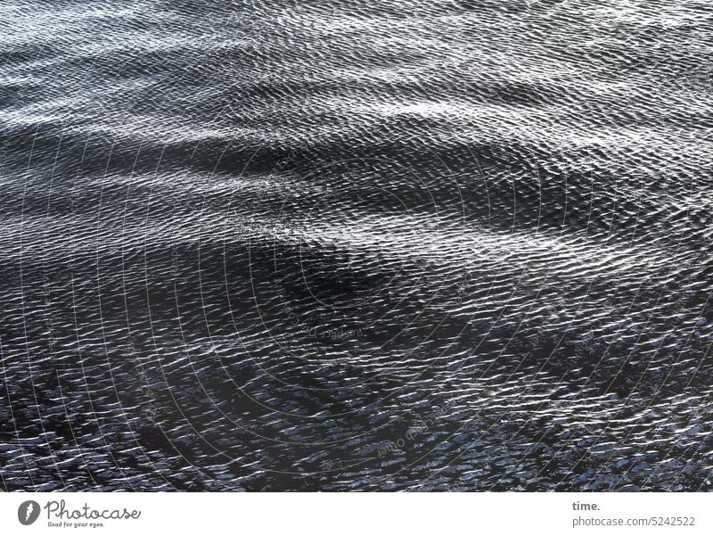Fischer's coffee grounds shine Wet Baltic coast Nature sparkle Waves Water Dark Reflection Light Contrast Undulating Surface Surface of water Movement Abstract