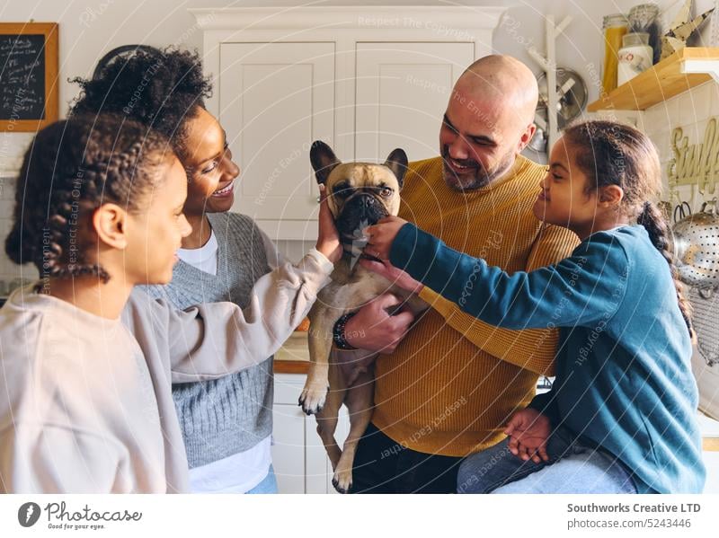 Family and boy with Down syndrome stroking pet dog French bulldog smiling family smile french bulldog son down syndrome stroke father lifestyle multiracial new
