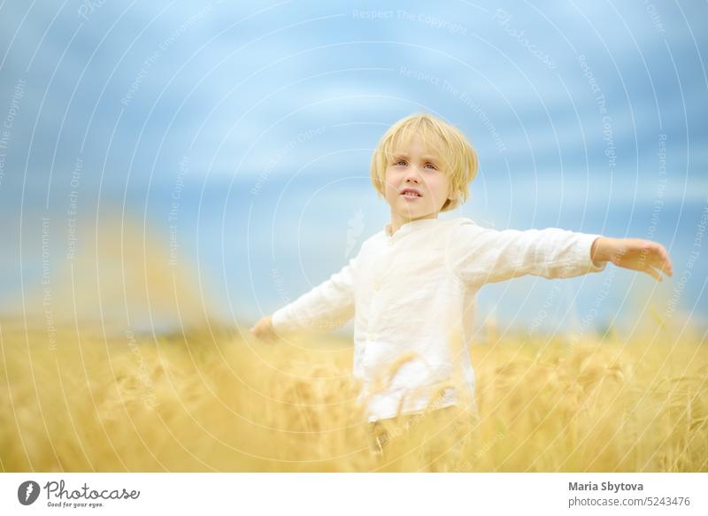 Pray for Ukraine. Child is on the background of bly sky and yellow wheat field. Background have colors of the Ukrainian flag. Concepts of peace and independence.