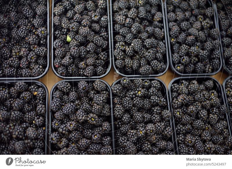 Fresh homegrown berries are at local farmer's market. Blackberry. Healthy vegetarian food. blackberry harvest warehouse bio fresh seasonal small business