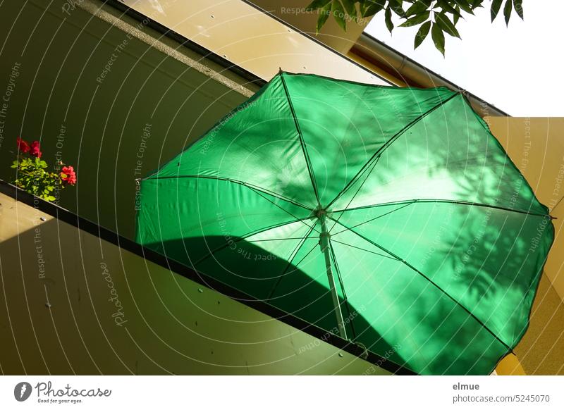 green parasol and flowering plant on balcony of apartment building Sunshade Balcony Foliage plant Apartment house Apartment Building Spring sun protection