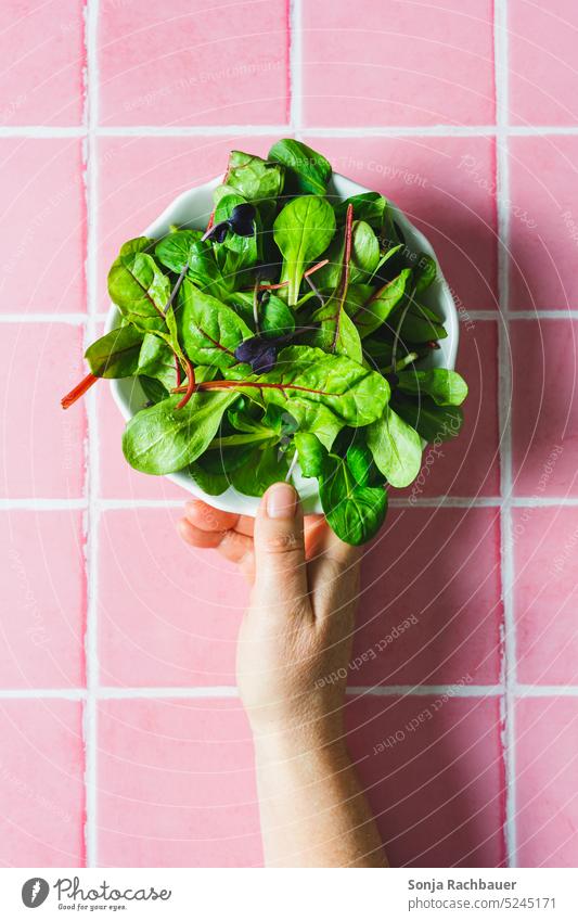 Hand holding a bowl with green salad on a pink tile background. Top view. Lettuce stop Vegetable Vegetarian diet Colour photo Organic produce Salad Fresh Diet