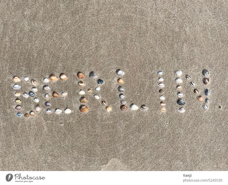 Berlin writing shells Letters (alphabet) seashells Mussel Beach Sand Ocean coast Summer Water Nature Vacation & Travel Exterior shot Colour photo Tourism