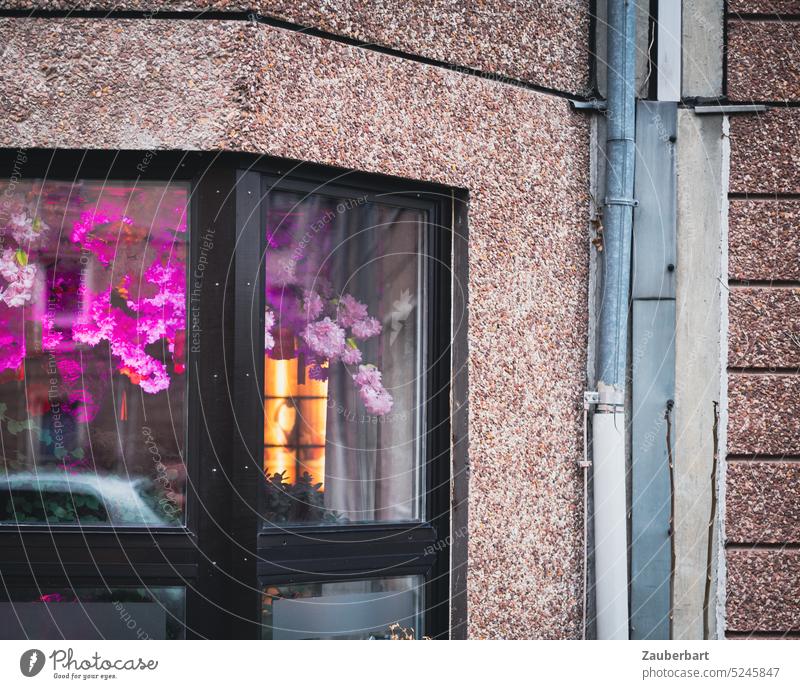 Corner window with bright purple artificial flowers in panel building vertically decorated with rain gutter corner window Violet Artificial flowers Flower Asia