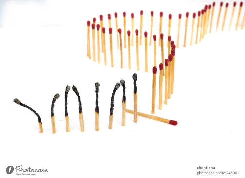 Row of burning matches and all matches on white background. spread of fire one match isolated to stop fire concept of the power of difference ash change charred