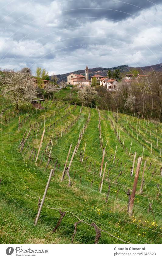 Rural landscape in Brianza in the park of Curone and Montevecchia April Europe Italy Lecco Lombardy Rovagnate color country day green hill nature photography