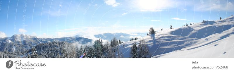 A winter fairy tale Winter Forest Tree Snow Cold Deep snow Panorama (View) Alpine pasture Sun Sky Large Panorama (Format)