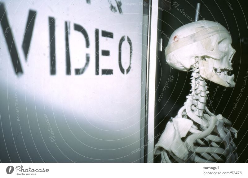 I see what you don't see. Skeleton Video Death's head Grinning gabba gabba hey
