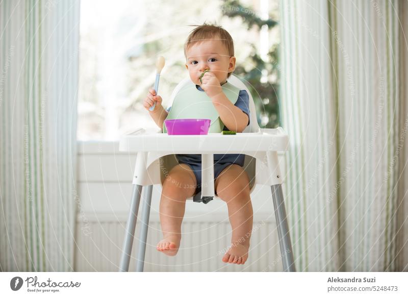 Cute baby eating first solid food, infant sitting in high chair. Child tasting vegetables at the table, discovering new food. Cozy kitchen interior. Healthy food concept.