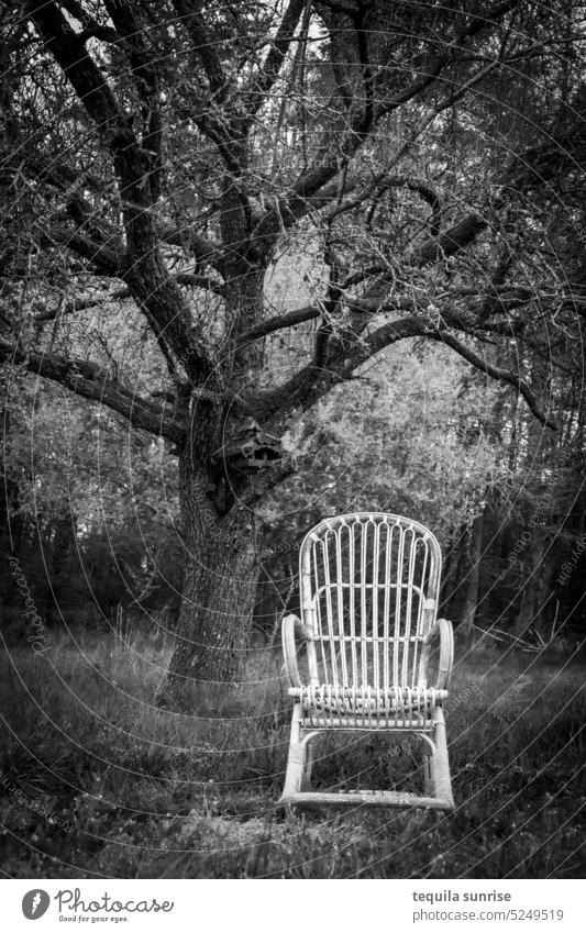 Old wooden chair under a tree Chair Wood Wooden chair Tree Bleak Spring Lawn Garden vintage Retro Black & white photo Grandfather grandpa grandma Grandmother