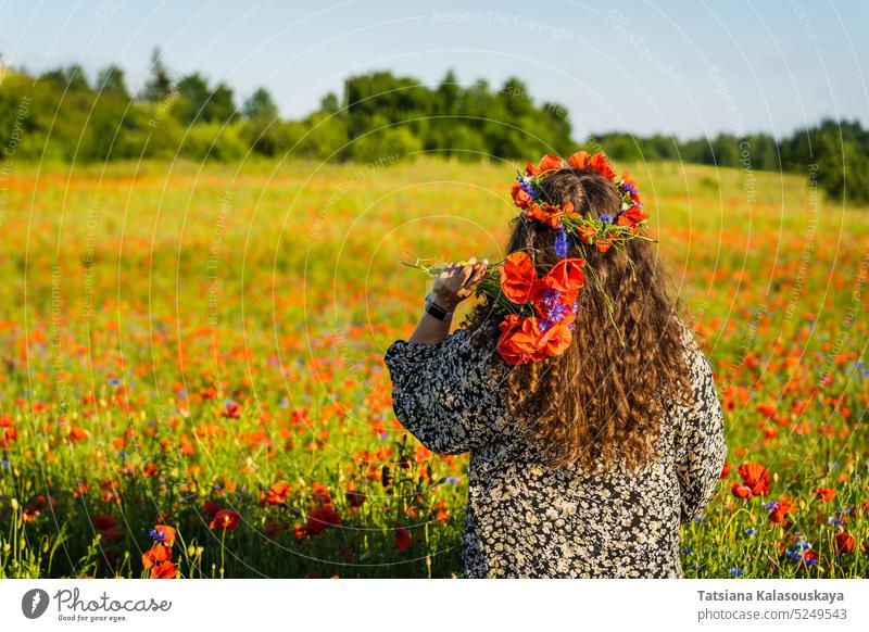 Long-haired curly woman plus size stands among a poppy meadow in a wreath of poppies and cornflowers and holds a bunch of poppies. long-haired curly hair
