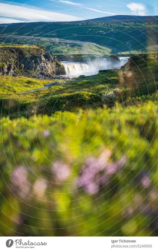 Godafoss waterfall in the Bardardalur district of North-Central Iceland, with defocused summer foliage in foreground godafoss iceland view bardardalur river