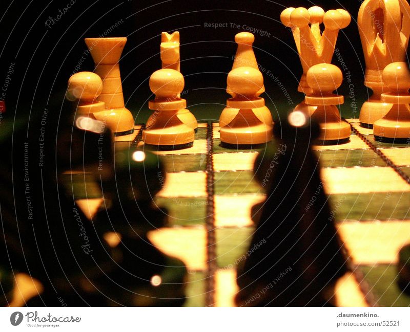 Finely dressed up Chess piece Chessboard Wood Square Lady Checkered Green White Black Dark Light Evil Duel Playing Classification Beginning Horse Planning