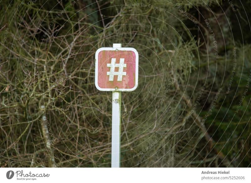 Hashtag nature traffic sign diamond hash day reallife Nature social media symbol Day actuality Forest Branchage hike Road marking Life worth living deceleration