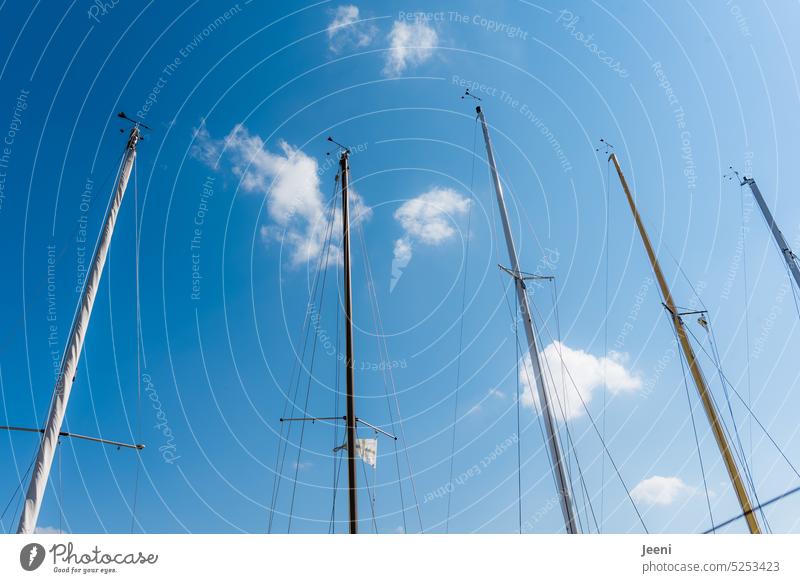 Blue sky and sailing weather Pole Sailing boat Sailboat Sky Tall Water Adventure Freedom Clouds Sailing ship Ocean Lake Summer Sailing trip Vacation & Travel