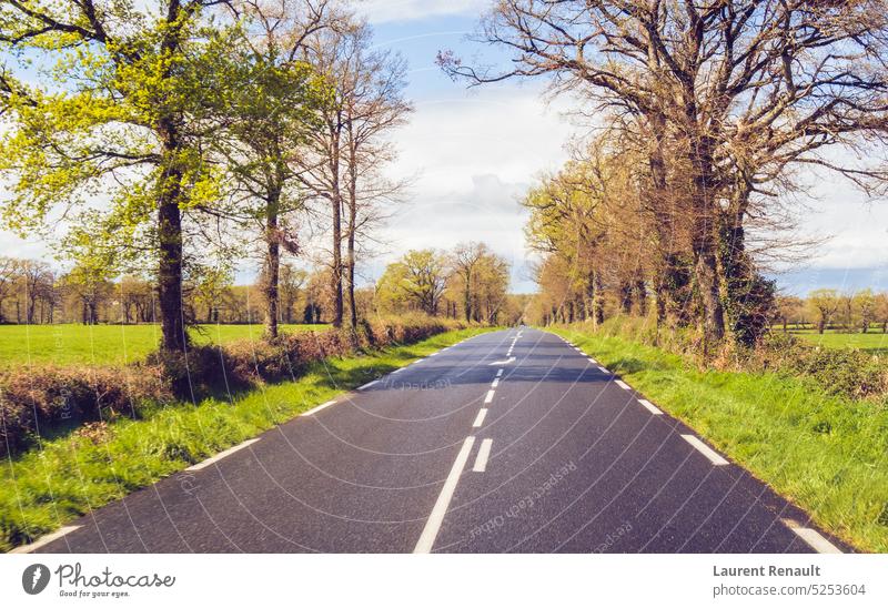 Driving on a rural french country road France asphalt auto countryside drive driving line nature spring travel tree