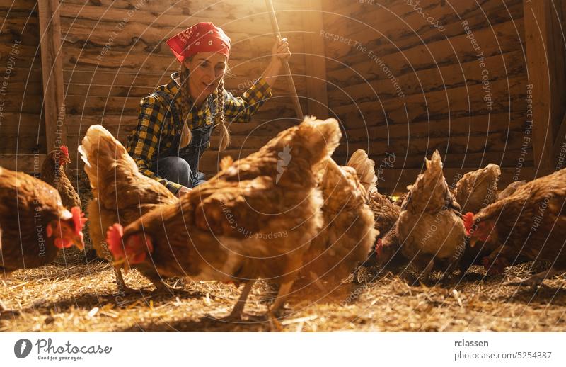 Proud chicken farmer woman takes care of her chickens in a henhouse production guard corn feed farming work person germany countrywoman easter egg industry