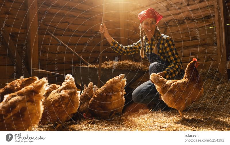 Proud chicken farmer woman guarding her hens in a henhouse production corn feed farming work person germany countrywoman easter egg industry chickens bio farmer