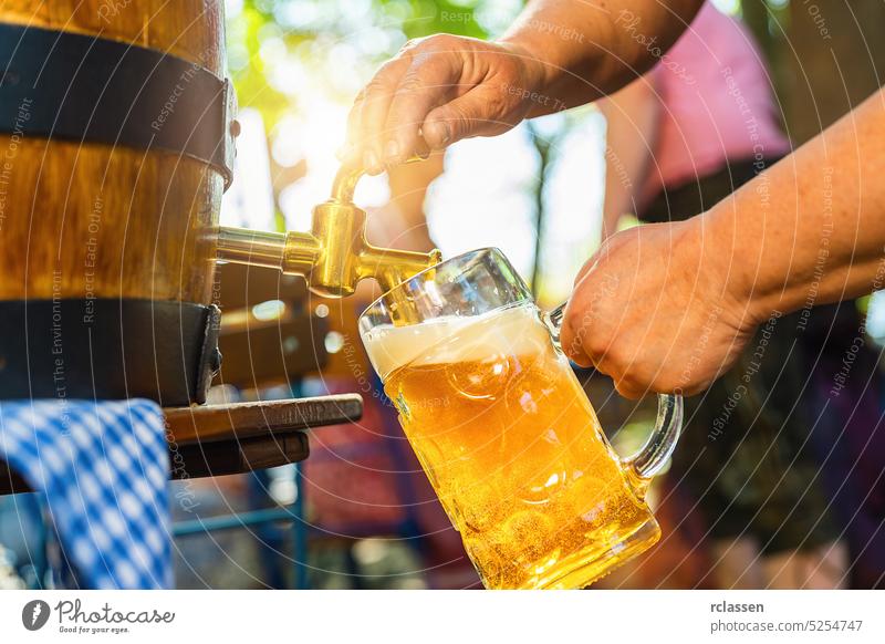 Bavarian Waitress in Tracht, Dirndl  is pouring a large lager beer in tap from wooden beer barrel in the beer garden. Background for Oktoberfest, folk or beer festival (German for: O’zapft is!)