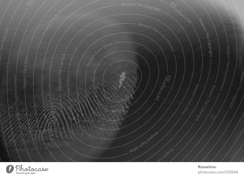 You got me! Sign Touch Gray Black Innocent convicted Tracks Fingerprint Black & white photo Detail Macro (Extreme close-up) Deserted Copy Space right
