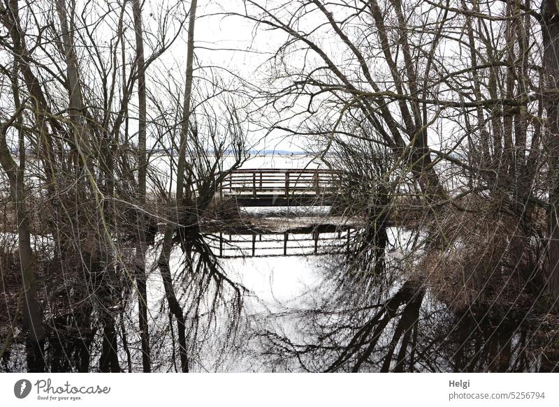 a wooden bridge and bare trees are reflected in a small river, which flooded the entire area during high tide Water Bridge Wooden bridge Bleak spring Deluge