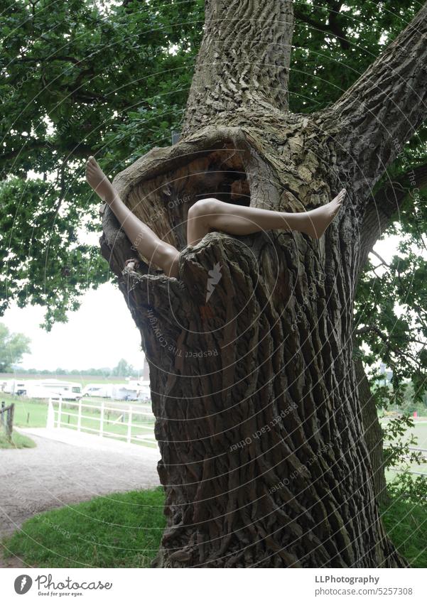 Dangaster leg tree #dangast #northsea #jadebusen #art #tree #summer #nature #legs #gallery #kulturhausdangast