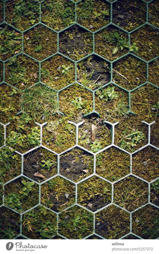 Lawn honeycomb? Grass honeycomb lawn lattice Lawn grid plate Bottom honeycomb Paddock plate Moss Earth Plastic stabilisation Fastening Accessible
