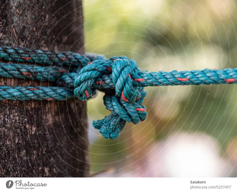 The nylon rope was tightly tied to the big tree green line knot cord wood around rough pull strong nature straight strained stretched object wire synthetic