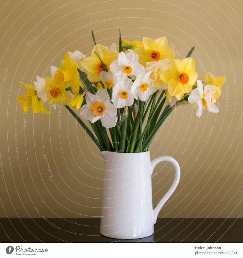 A Vase Of Daffodils and Narcissus daffodils narcissus Spring vase flowers spring flowers spring clean beauty simplicity reflection meditation yellow white