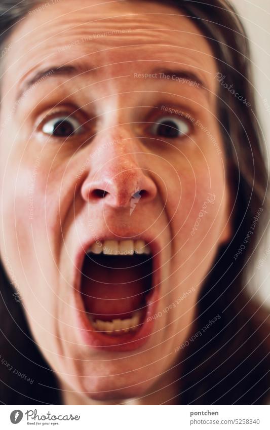 face of an angry, horrified woman with mouth and eyes wide open. facial expression appalled rabid sensation Face Woman open-mouthed mouth ripped