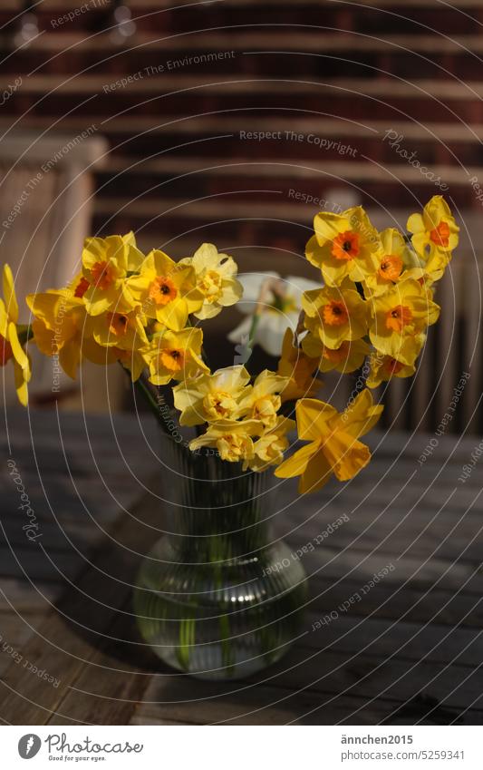A bouquet of various yellow daffodils stands on a wooden garden table Narcissus Yellow Spring Ostrich Flower Wild daffodil Colour photo Bouquet