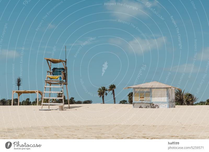 closed stand kiosk and abandoned rescue tower on beach with palm trees and blue sky Beach Beach life Bathing beach vacation Sand coast Summer Vacation & Travel