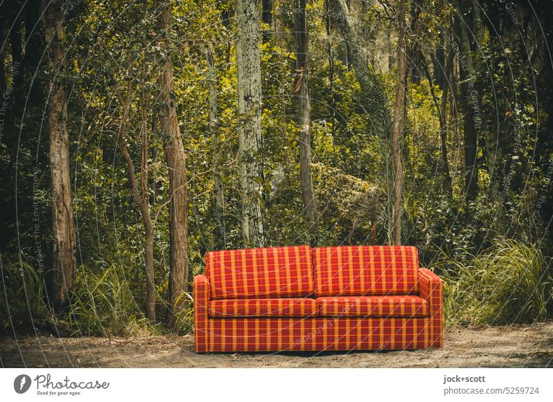 wild bulky waste deposited in front of the nature Sofa Bulk rubbish Furniture Waste management Seating Nature Tropical Bushes Queensland Australia Dispose of