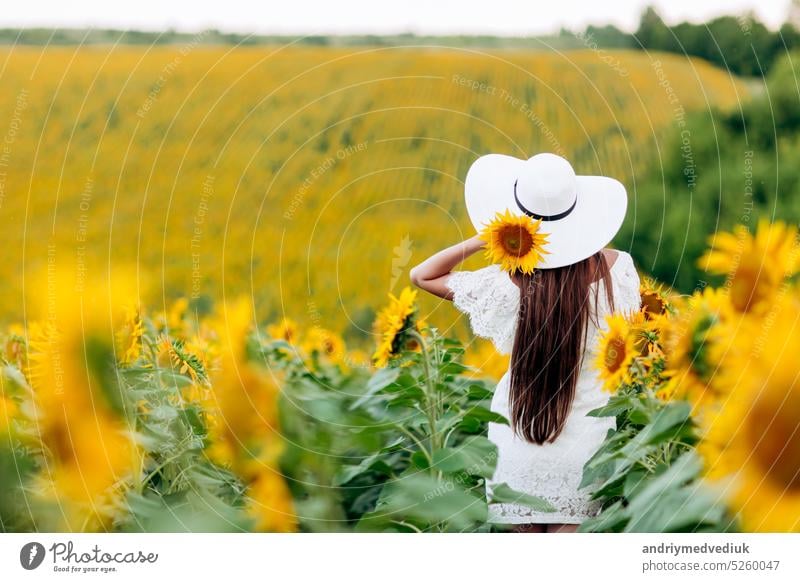 Woman in the field of sunflowers. A happy, beautiful young girl in a white hat is standing in a large field of sunflowers. Summer time. Back view. selective focus.