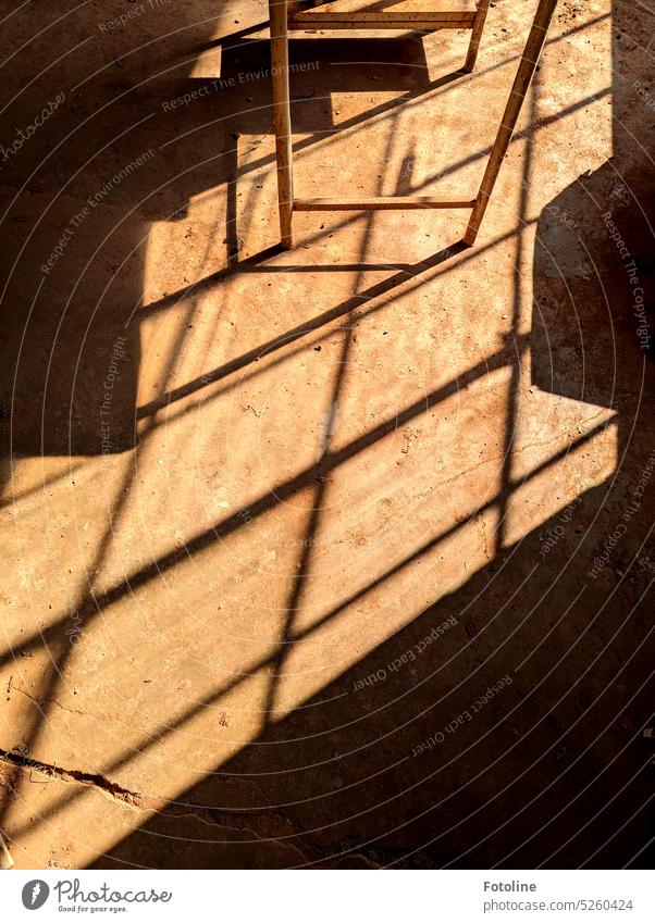 In a lost place, the sun conjures up the shadows of the window on the dirty floor and bathes everything in a warm brown light. Light Shadow lines Ground