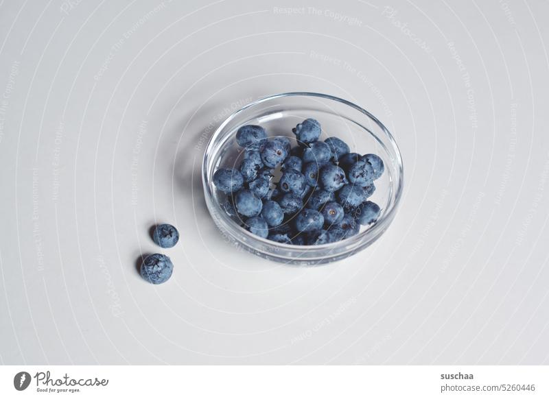 blueberries Glass bowl Delicious nibble Berries blueberry Fruit Fruity cute Blue Round Healthy Eating Vegetarian diet Food Fresh vegan organic product