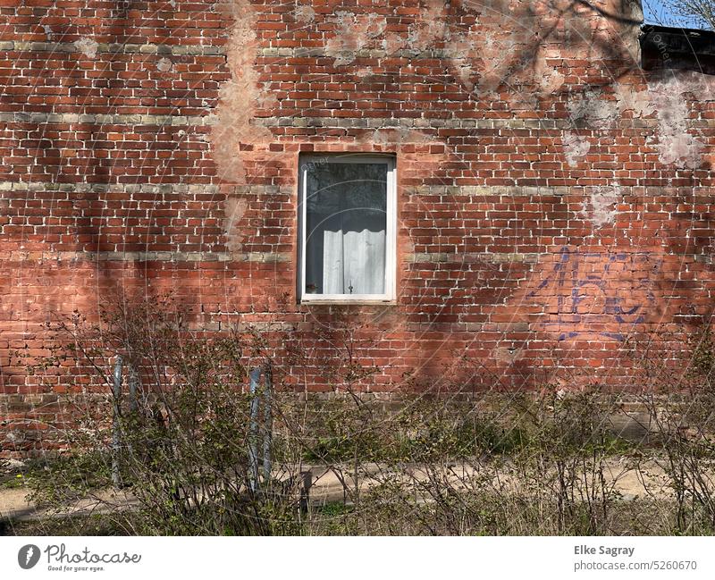 Brick house windows Window brick Wall (building) Building Red Exterior shot Town Facade Manmade structures Deserted Structures and shapes Brick wall