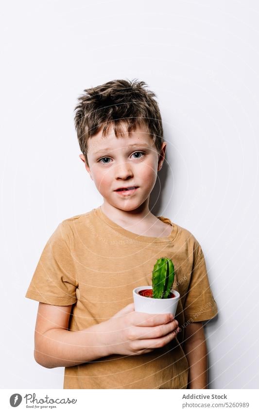 Cute boy with potted cactus show cute fresh small growth style organic demonstrate child adorable kid flora childhood dark hair botany succulent prickle thorn