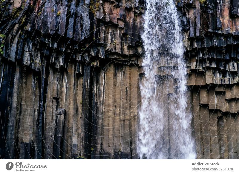 Powerful waterfall on rocky cliff splash landscape nature scenic lake iceland europe svartifoss destination power picturesque environment river pure