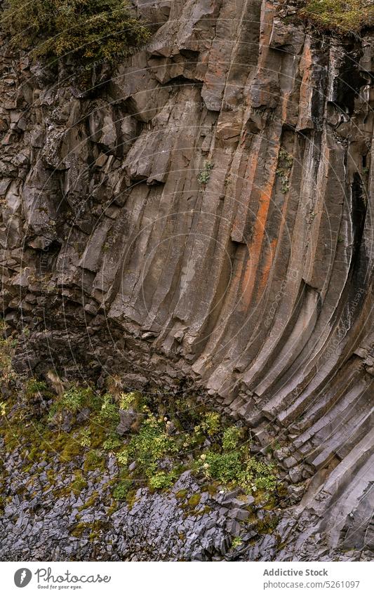 Geological formation on cliff with moss rocky basalt geology nature wild environment countryside iceland europe hexagonal landscape stone picturesque rough