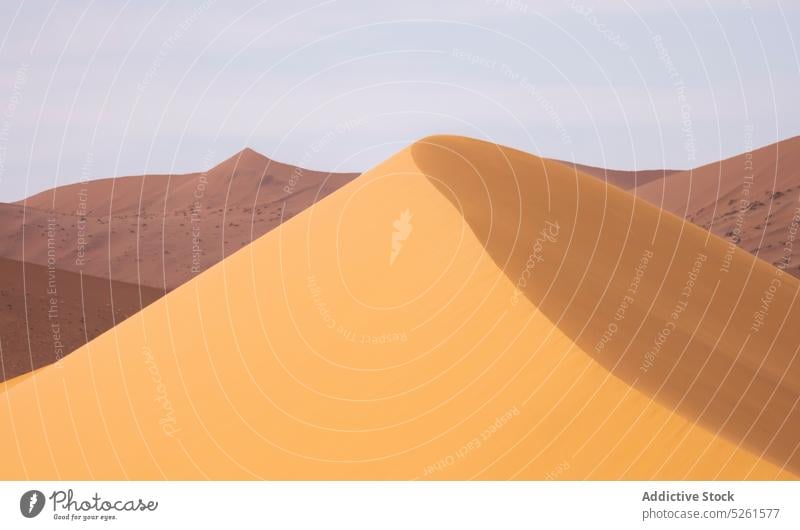 Smooth texture of sandy dunes desert landscape abstract nature background wild terrain scenic dry warm magnificent scenery sunlight heat smooth untouched hot
