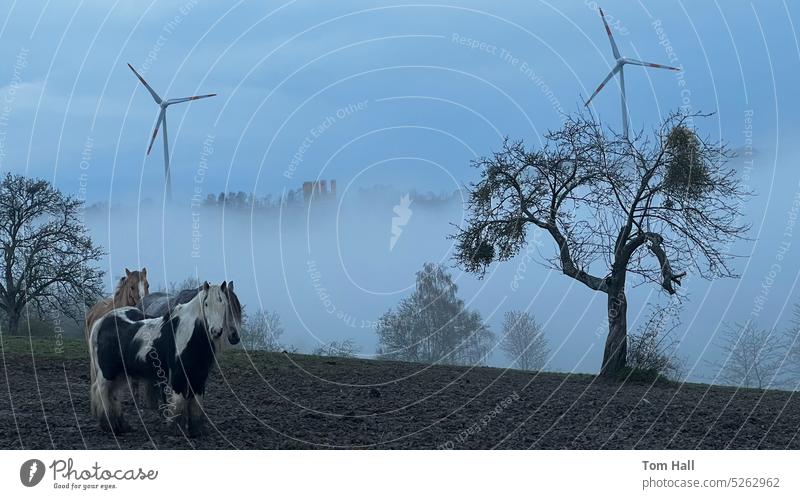 Horses on a mountain top Meadow Nature Grass Sky Cloudy Wind energy plant Renewable energy wind power Energy eco-power Ecological Sustainability