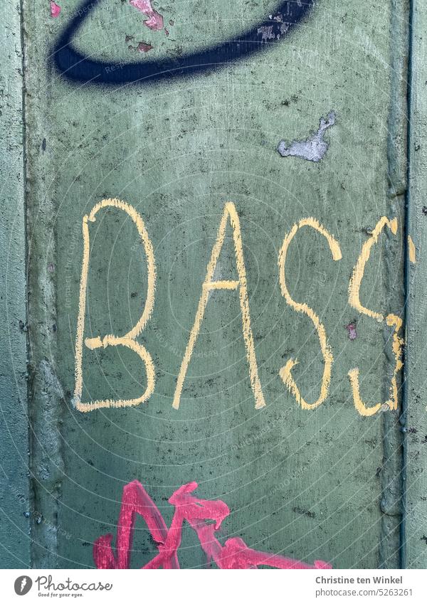 BASS Graffito bass writing Characters Musical instrument Word Facade Daub Typography Creativity Mural painting Subculture Text Letters (alphabet) Trashy