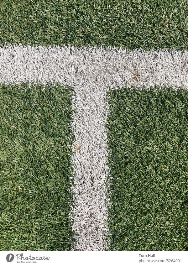 dividing line football Soccer Grass field white line lines
