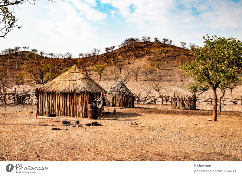 survive depressing Loam Straw Kaokoveld Himba Authentic Life dwell at home Far-off places simple life Poverty House (Residential Structure) Hut Africa Namibia
